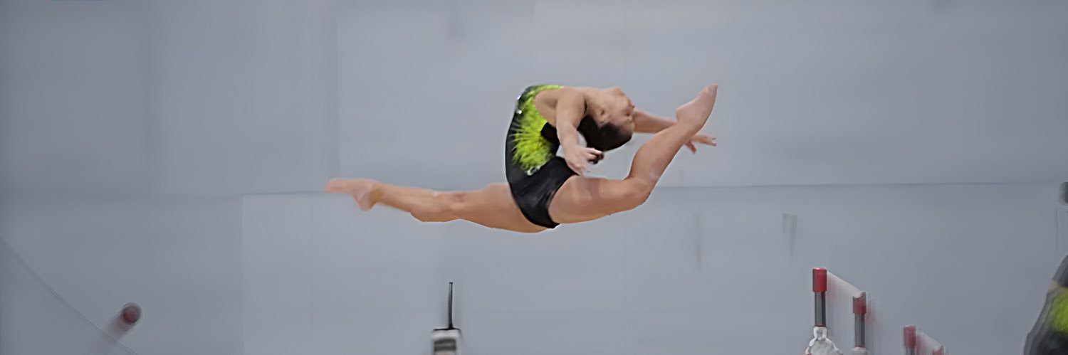 Gymnastea's banner