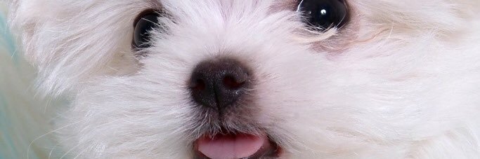 八月's banner
