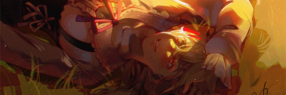 ins fidelie's banner
