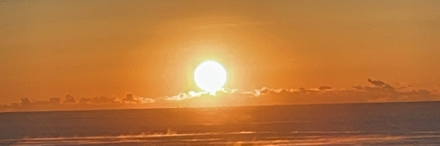🌹🌹shigemi🌹🌹's banner
