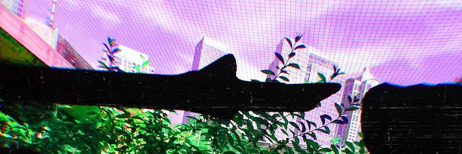 Squiddo's banner
