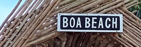 Lunna Alves's banner