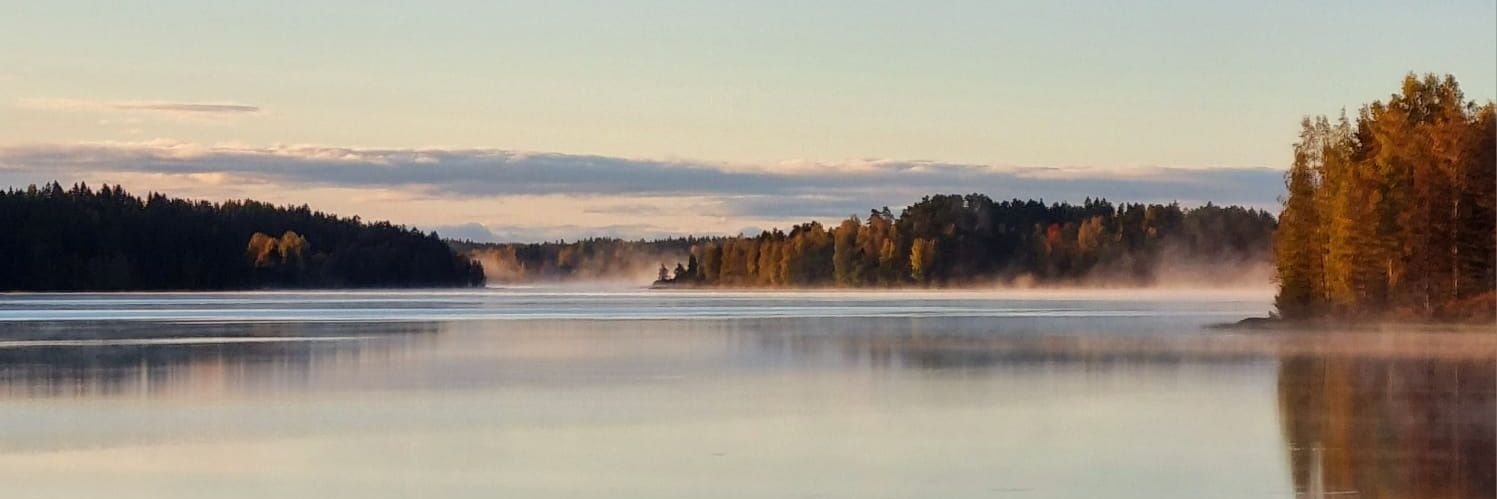 Hanna-Leena's banner