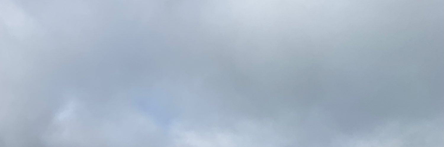 🕊️'s banner
