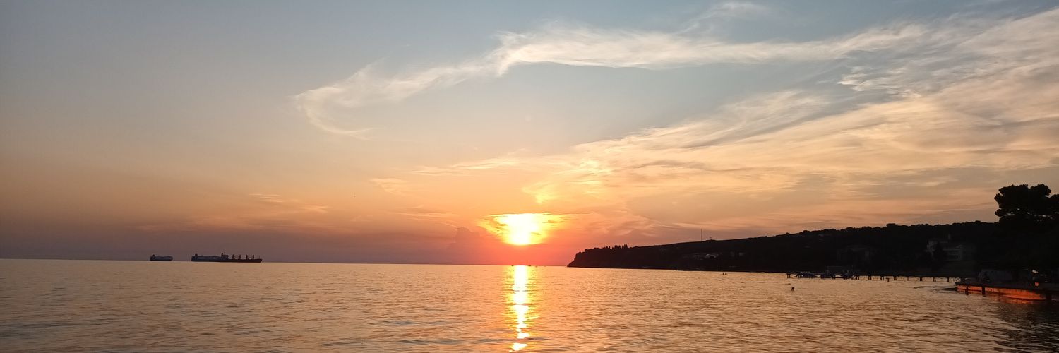Johanca's banner