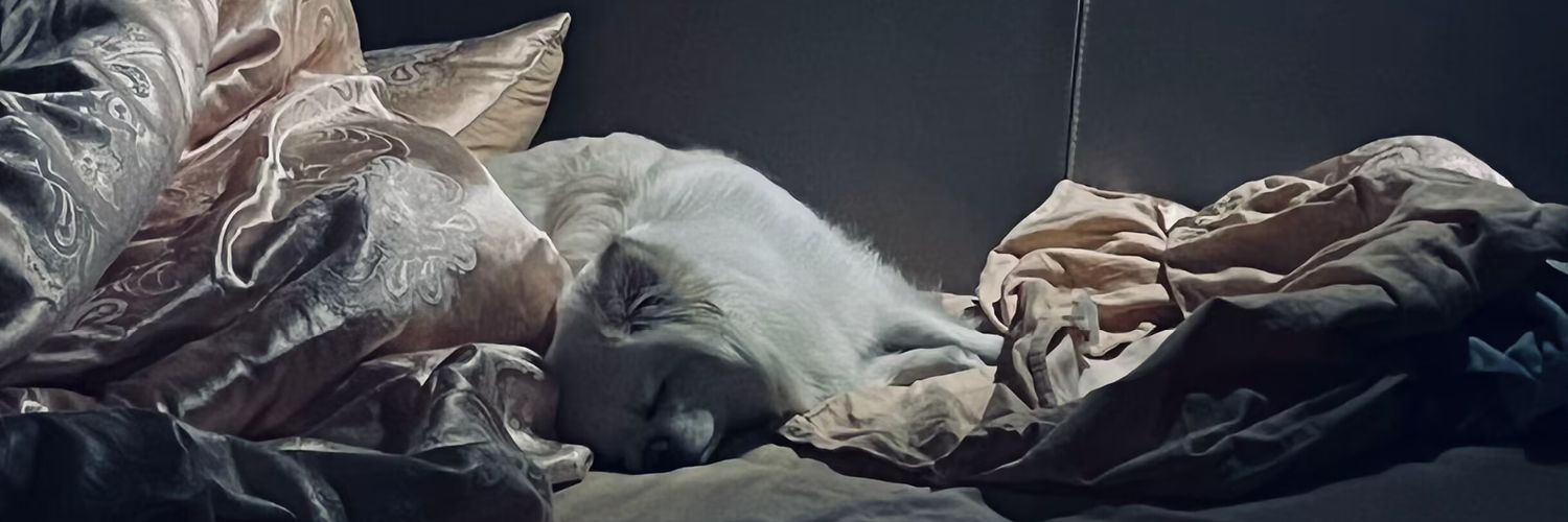 鵺's banner