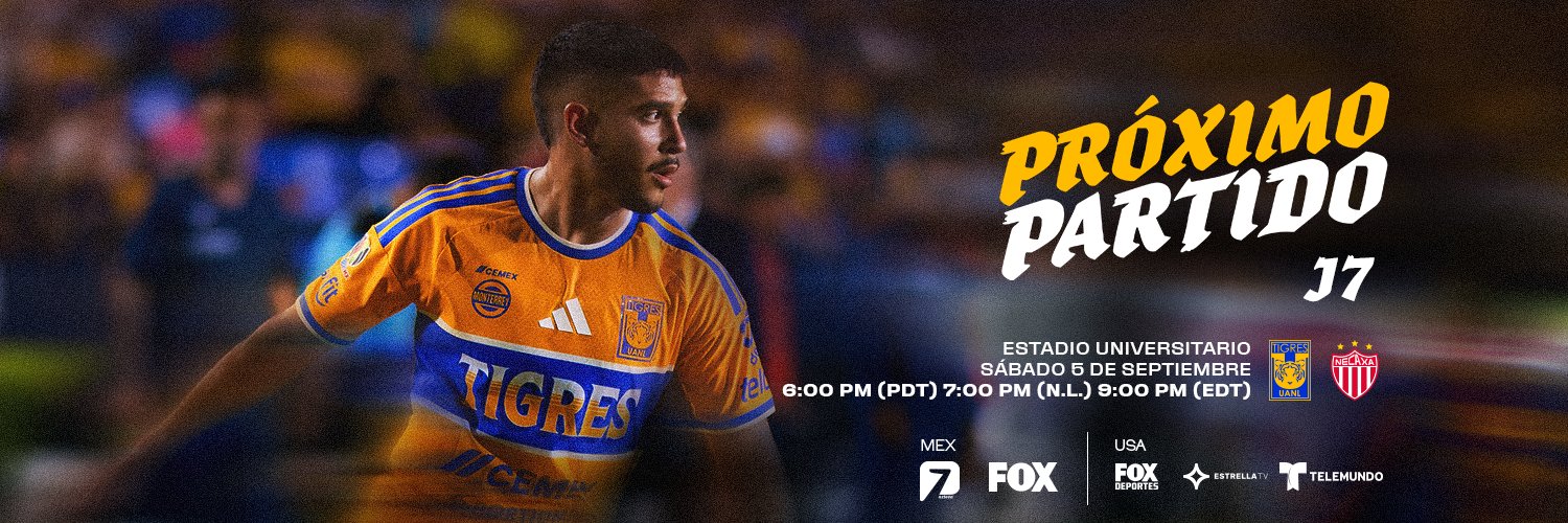 Club Tigres 🐯's banner