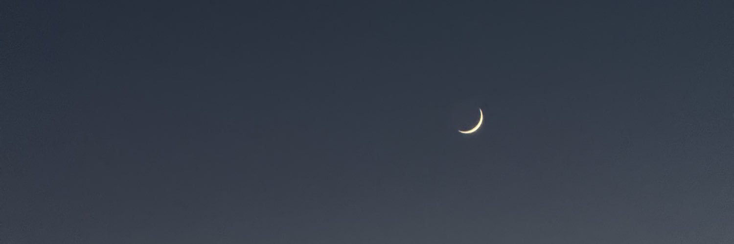 wênekêş's banner