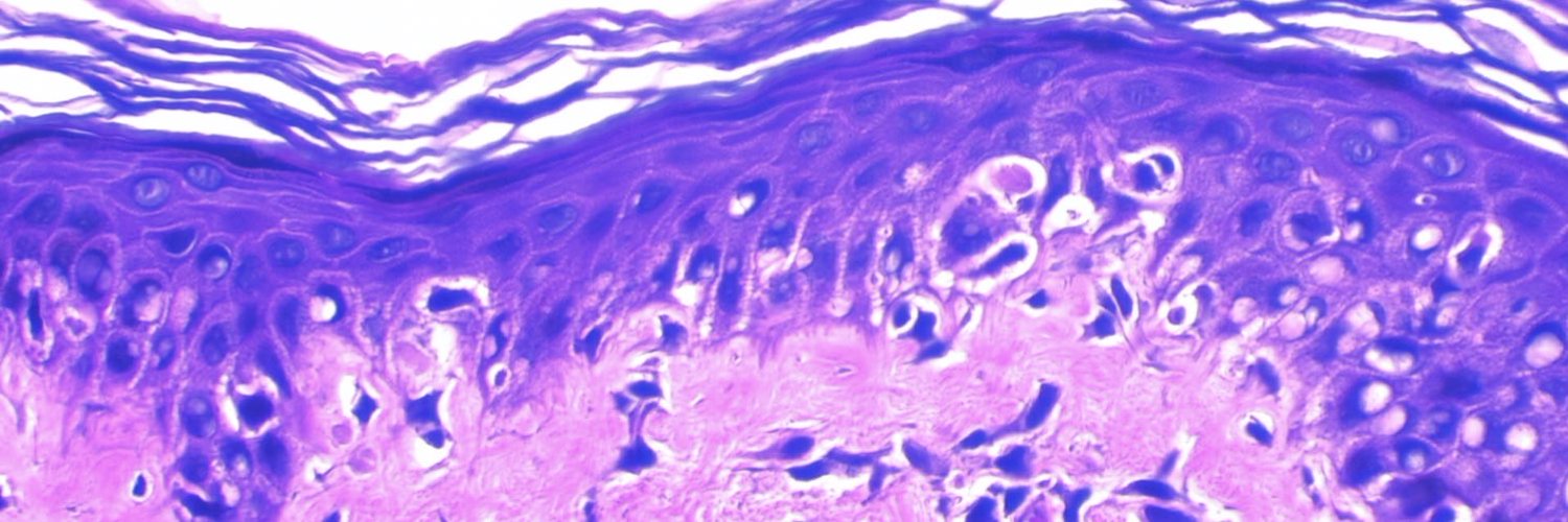 Avi Bitterman, MD's banner