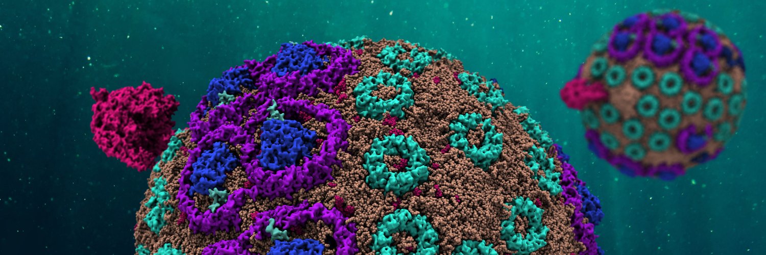 AksimentievLab's banner
