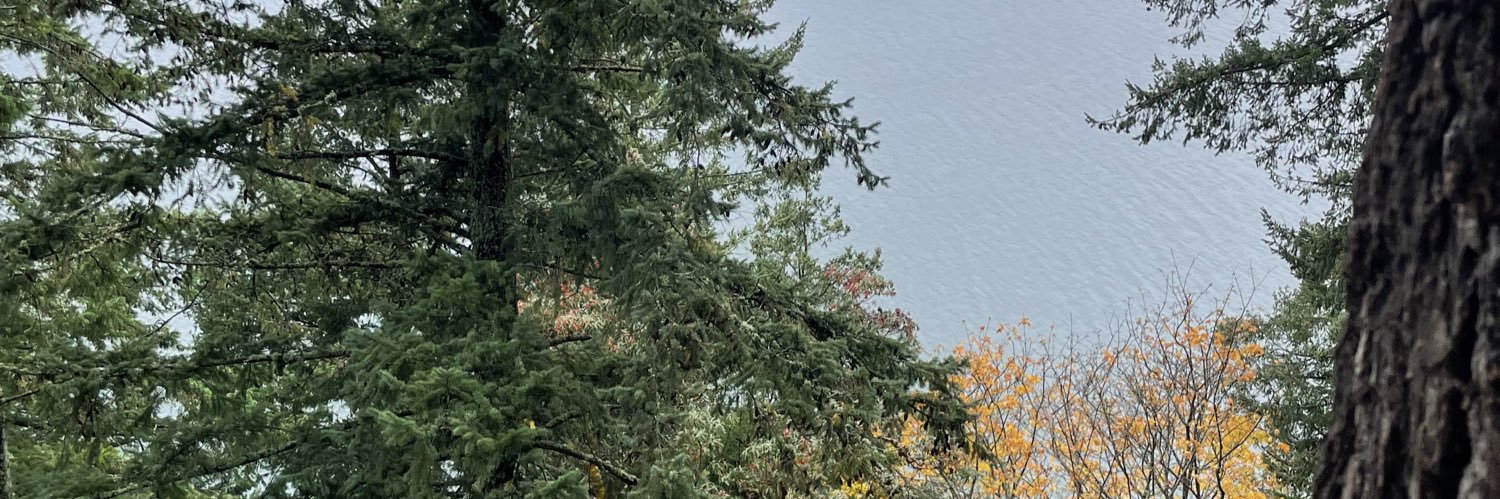 SamaraRayXO🦇🖤's banner