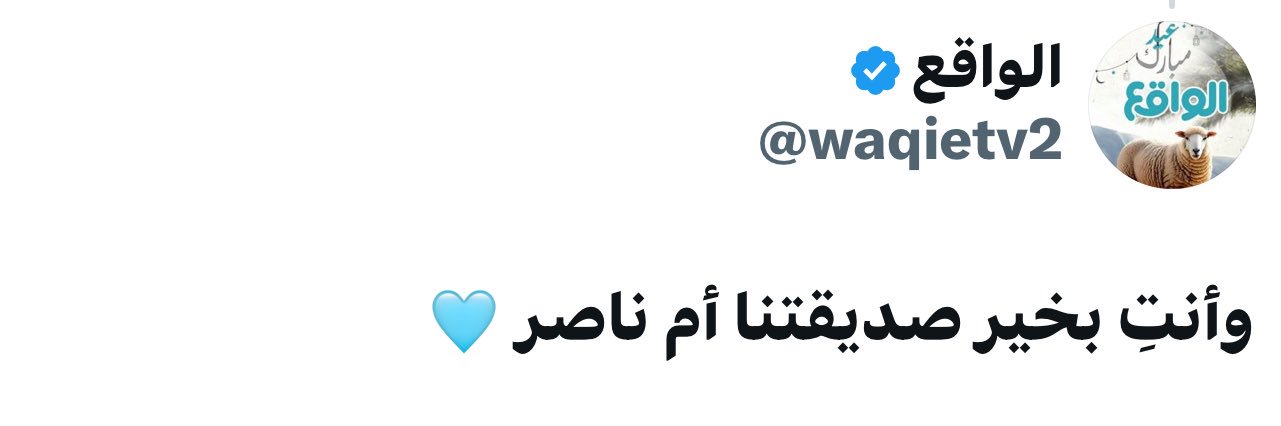 ام ناصر's banner
