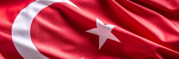 Nedim Erol's banner