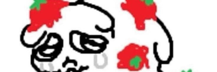 Pearl p²'s banner