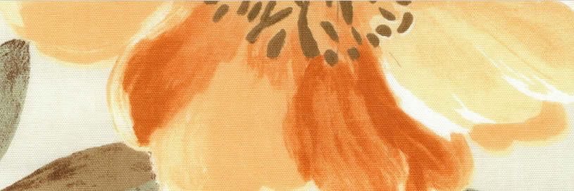 iza's banner