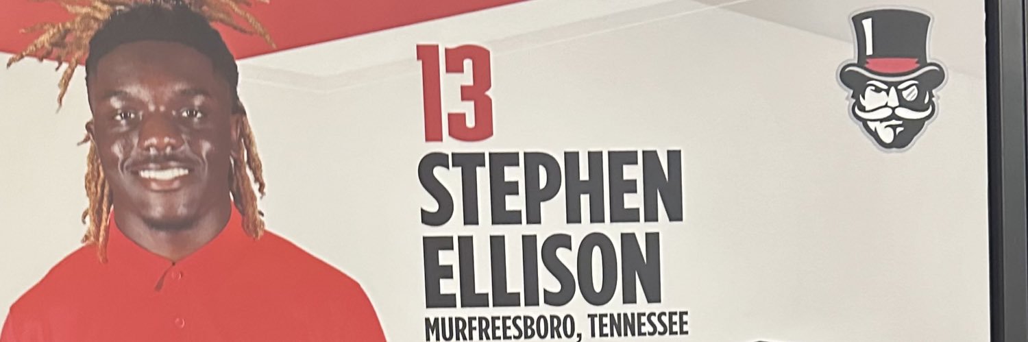 Stephen Ellison's banner