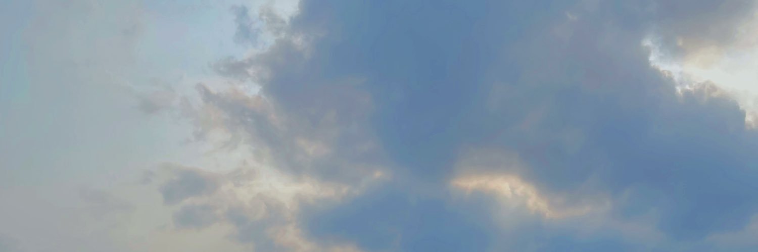 UN's banner