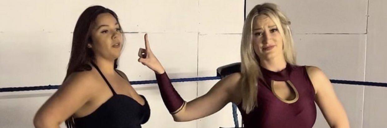 power girls pro wrestling's banner
