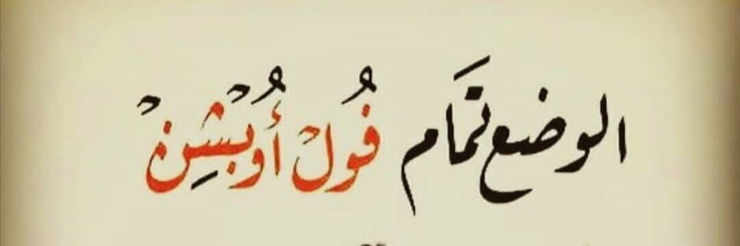 Ali N. Nasser جنوبي وافتخر's banner