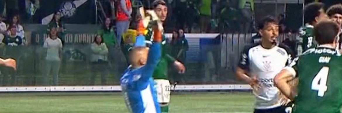 Palmeiras Caótico FORA ABEL's banner
