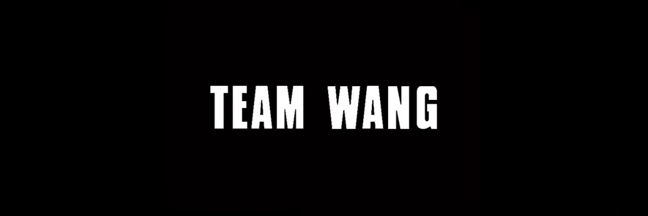 wang ˢⁿᵉᵃᵏʸ's banner