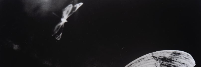 GNN.®'s banner