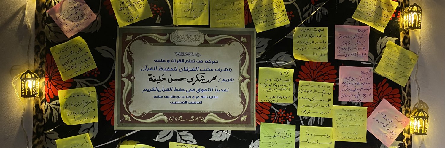 Mohamed Shoukry's banner