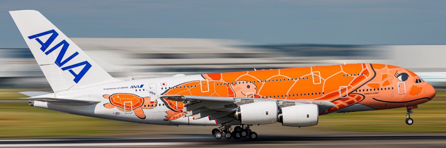 Aviation Toulouse's banner