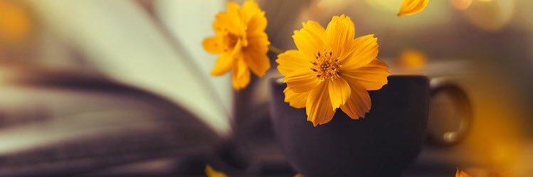 اقتباسات سنابيه ..🌿🕊's banner