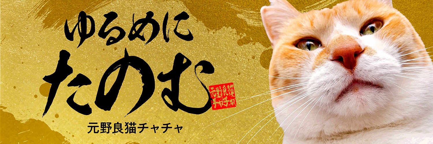 元野良猫チャチャとRme 🐈✨'s banner