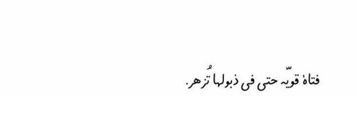 ❣️البتـــــ🦋ــــول❣️'s banner