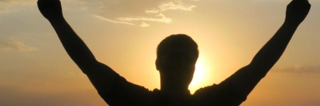 Mohsenfooladi's banner