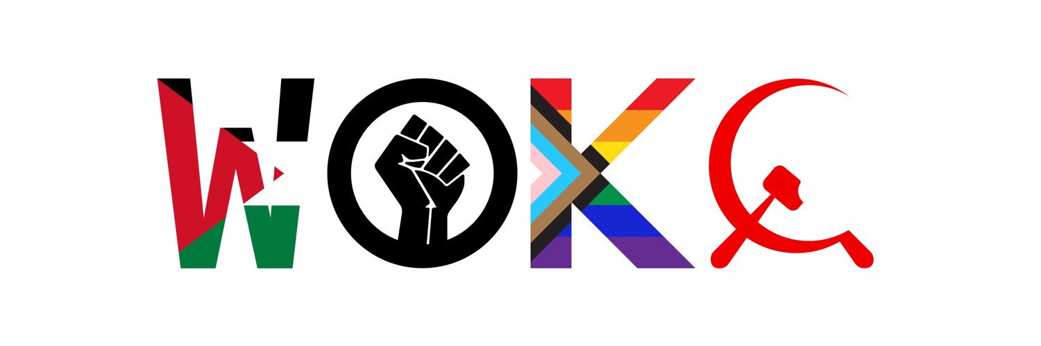 déjanté, vulgaire et woke ‼️💋 🇫🇷's banner