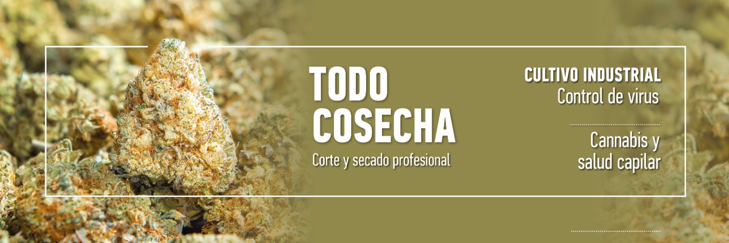 Revista THC's banner