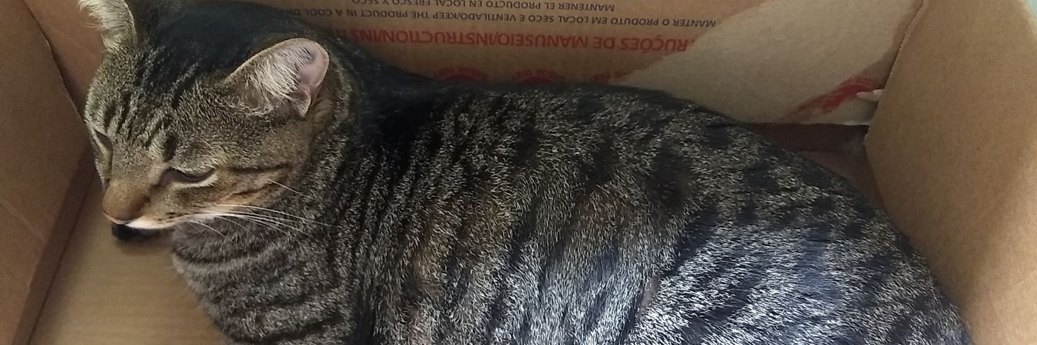Carlos no MP's banner