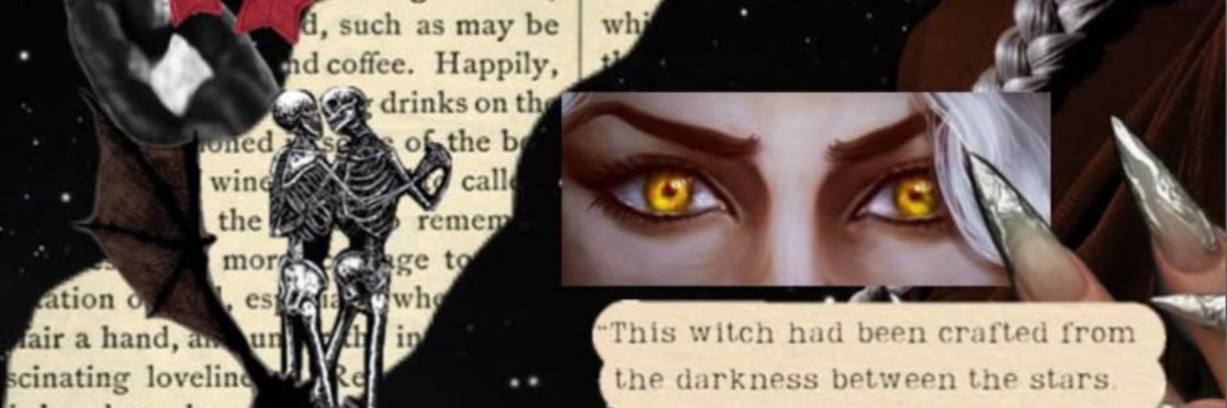 sylvia 🏹's banner