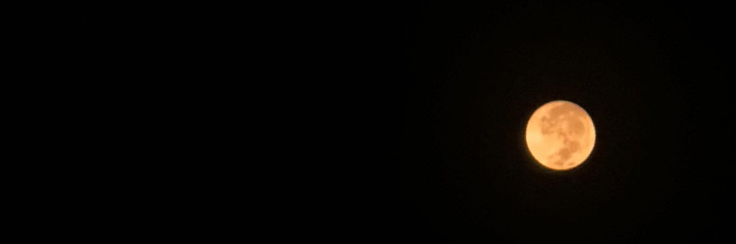cacä ʚɞ's banner