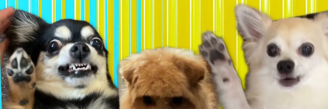 wanwan's banner
