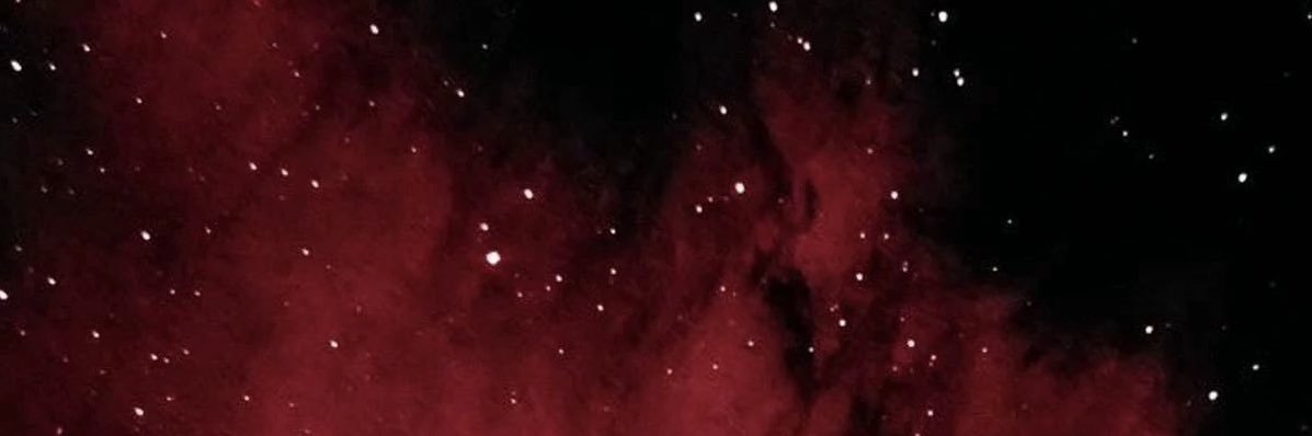 Sleepy 🌹 #TeamDawn #TeamCrystal #TeamJasmine's banner
