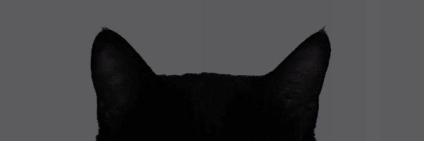 Rainbow ⁷'s banner