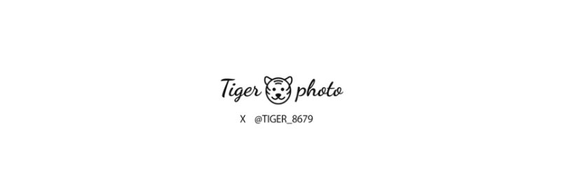 胖🐯_摄影师 tiger's banner