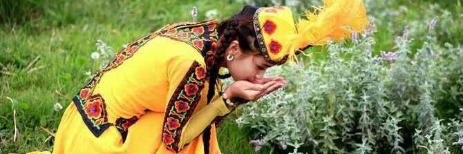 گۈلنار Gülnar's banner