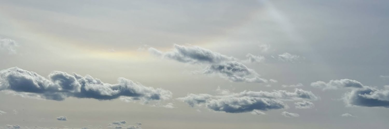 Laryn Breedlove's banner