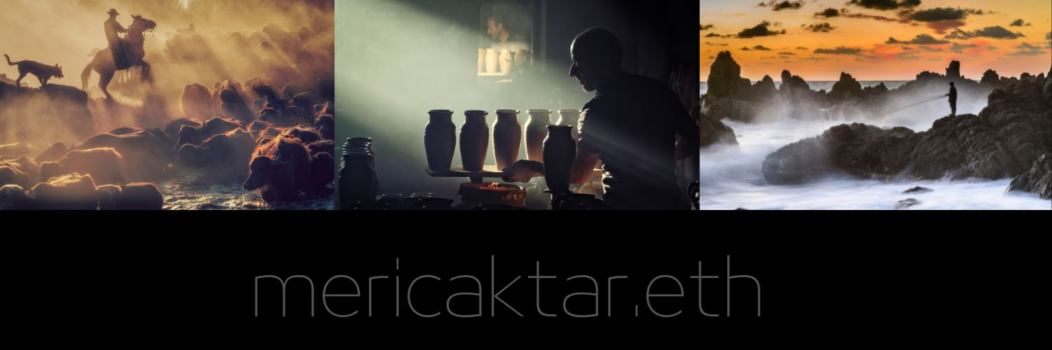 Meriç Aktar's banner