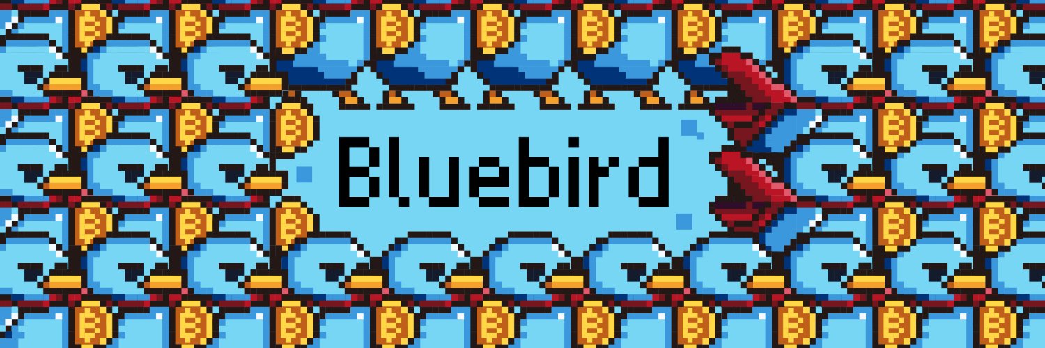 鸟哥 | 蓝鸟会🕊️'s banner