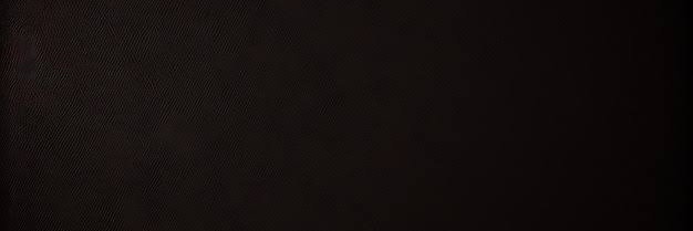 Campechame's banner