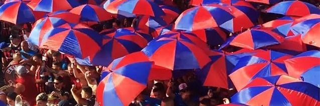 Dale San Lorenzo's banner