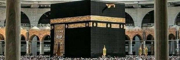 هاجر 🌹﷽'s banner