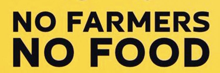 Steve Evans's banner