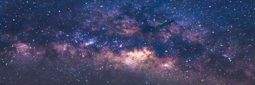 Alejandra's banner